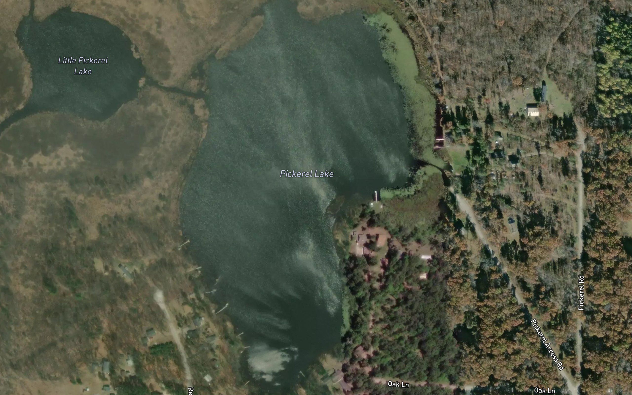 Pickerel Lake
