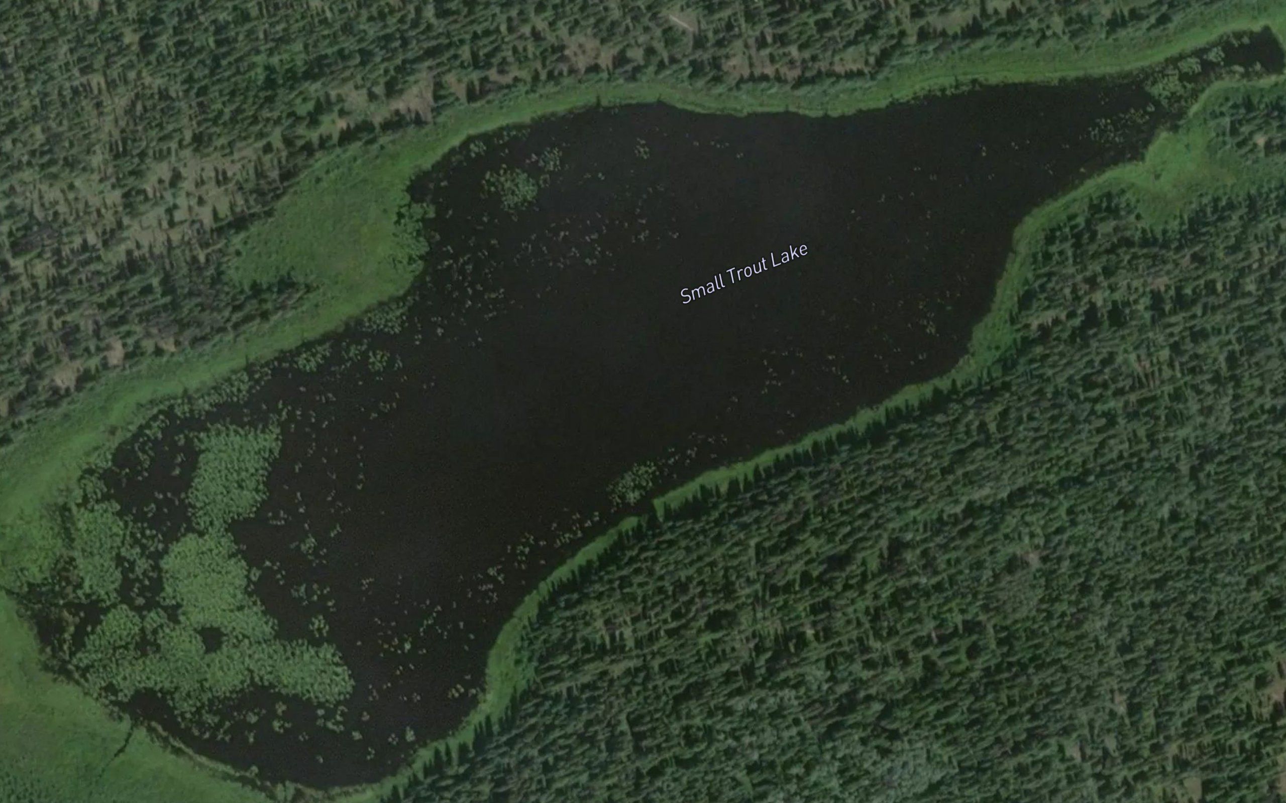 Small Trout Lake