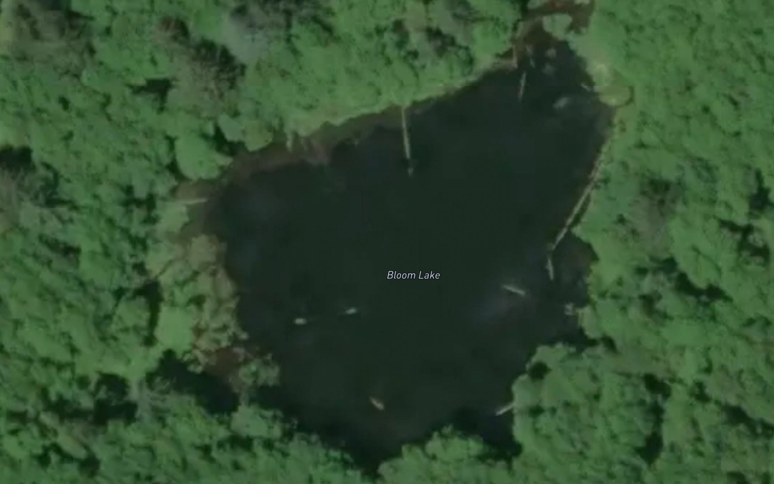 Bloom Lake