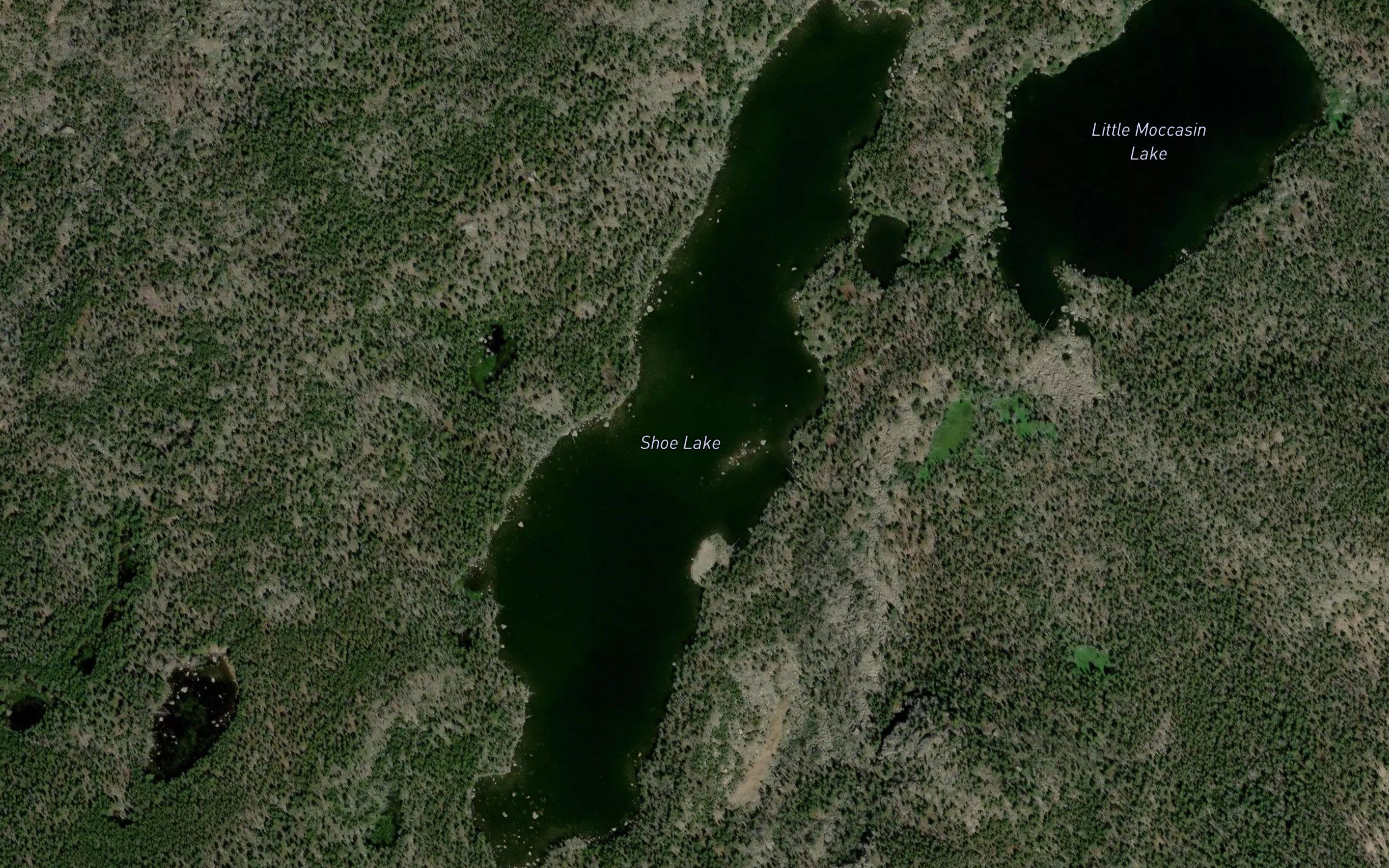 Shoe Lake