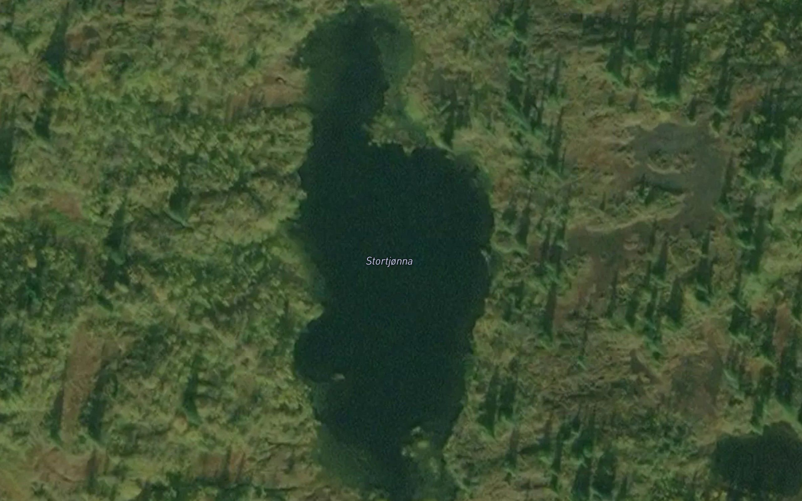 Stortjorna
