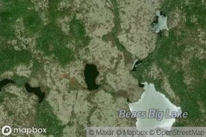 Bears Pool