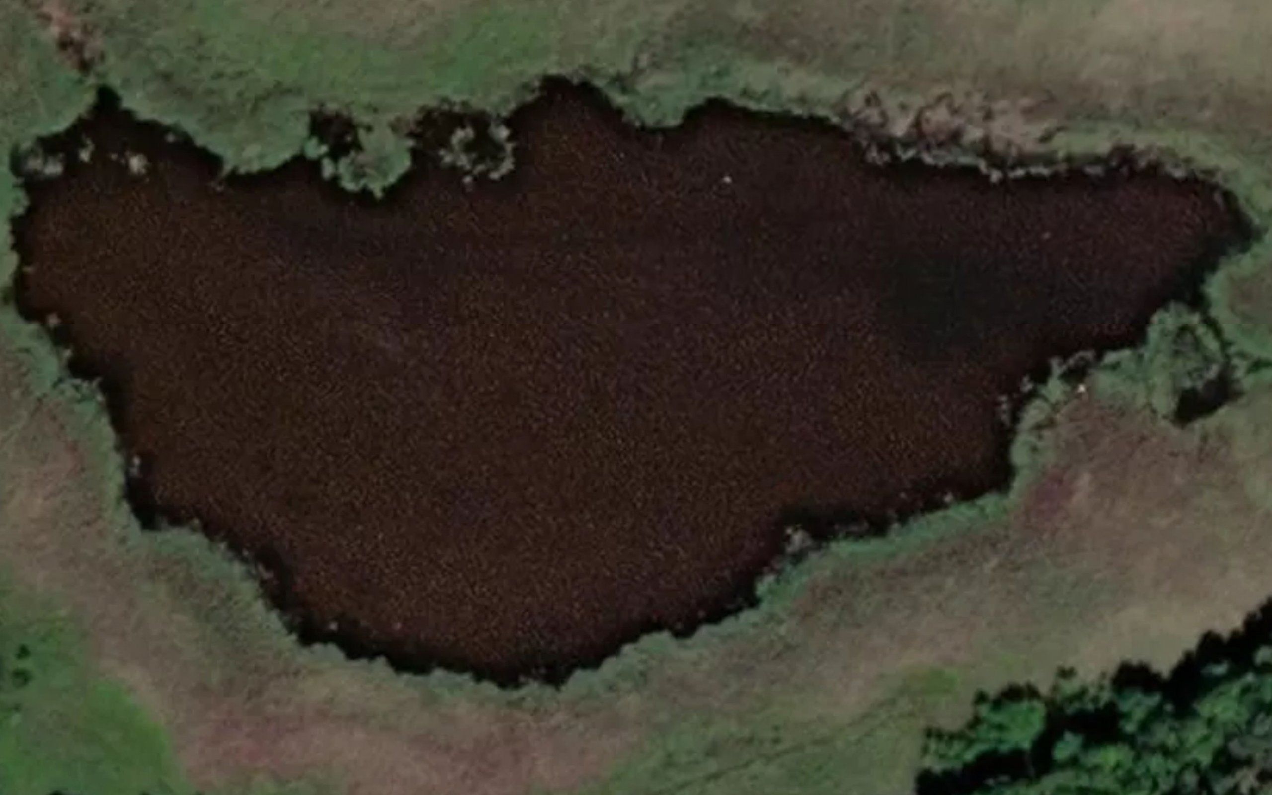 Kaustionrauma