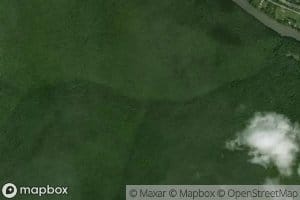 Left Fork Miller Run