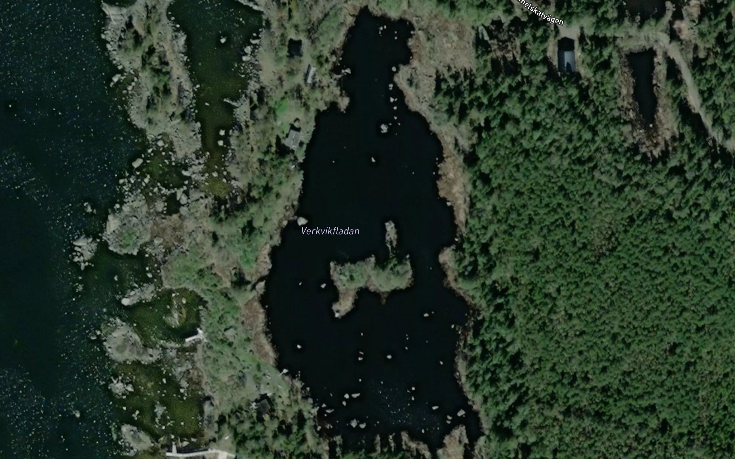 Verkvikfladan