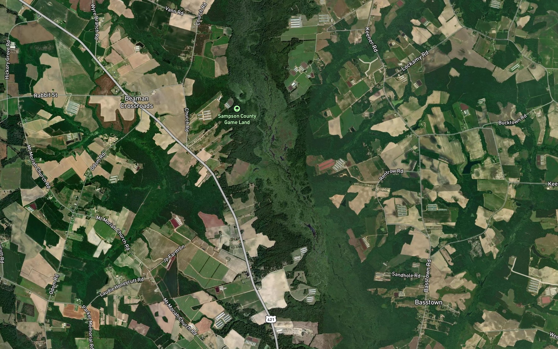 Satellite map of the Marsh Swamp