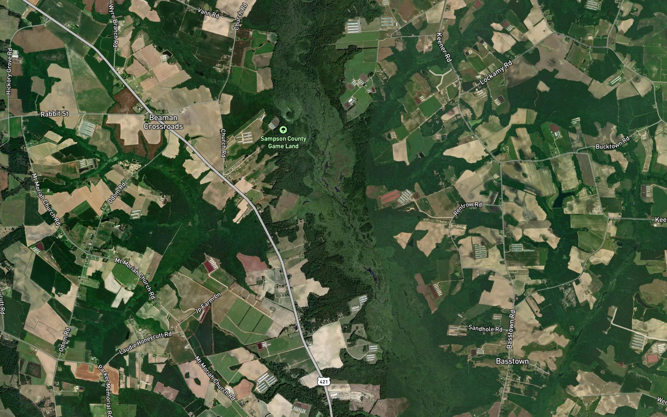 Marsh Swamp