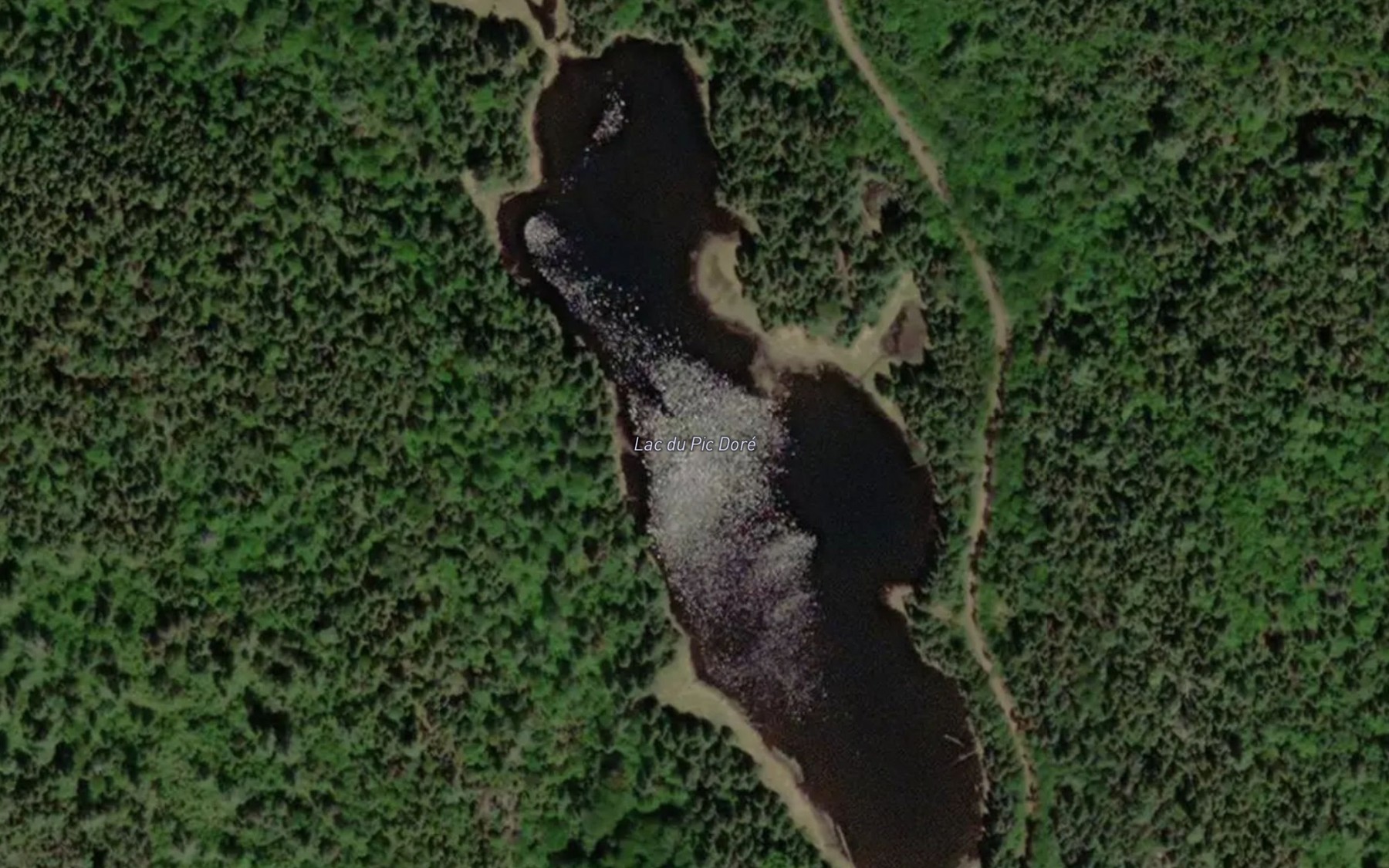 Satellite map of the Lac du Pic Dore