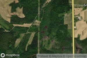 South Branch Whitney Brook