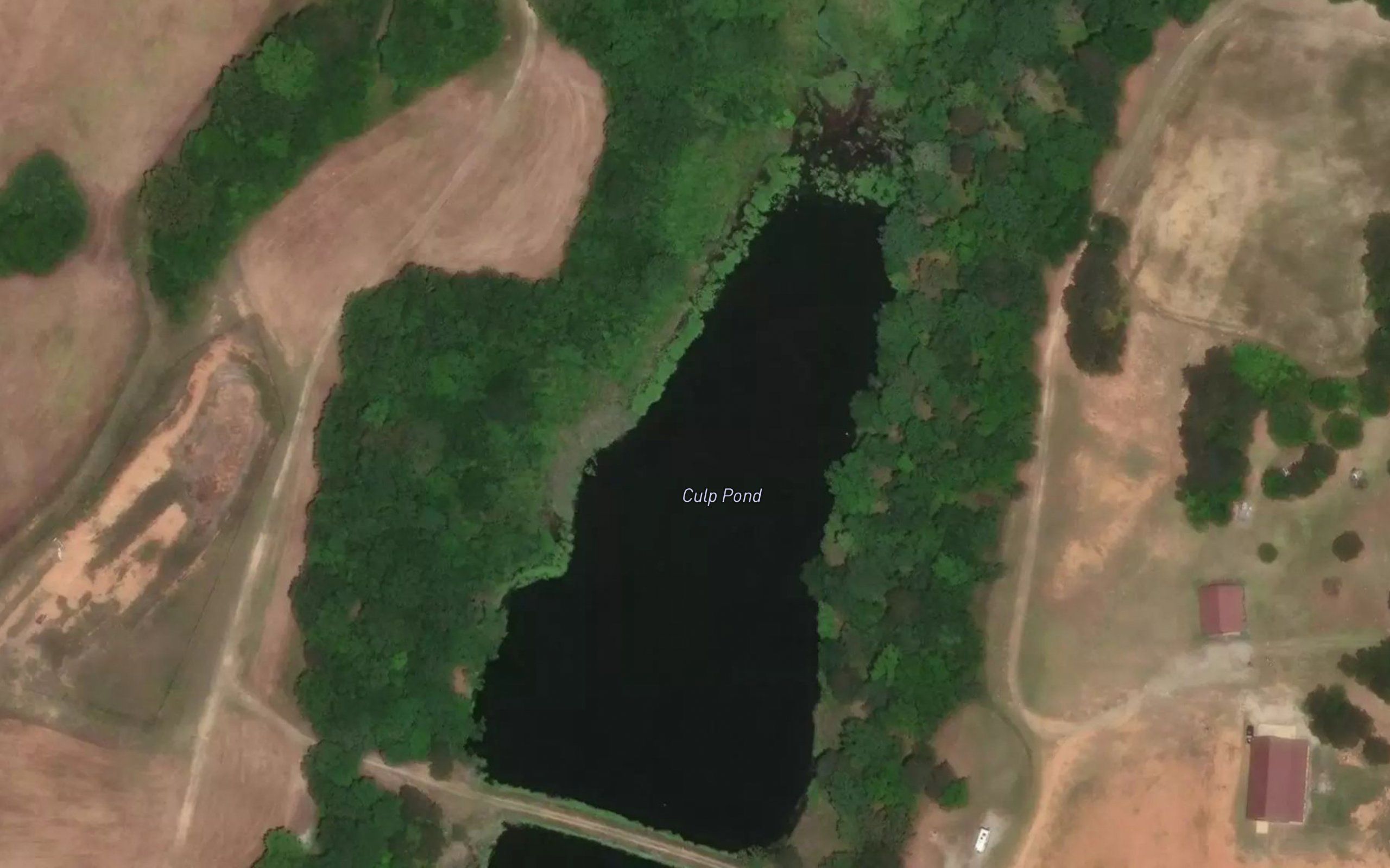 Culp Pond