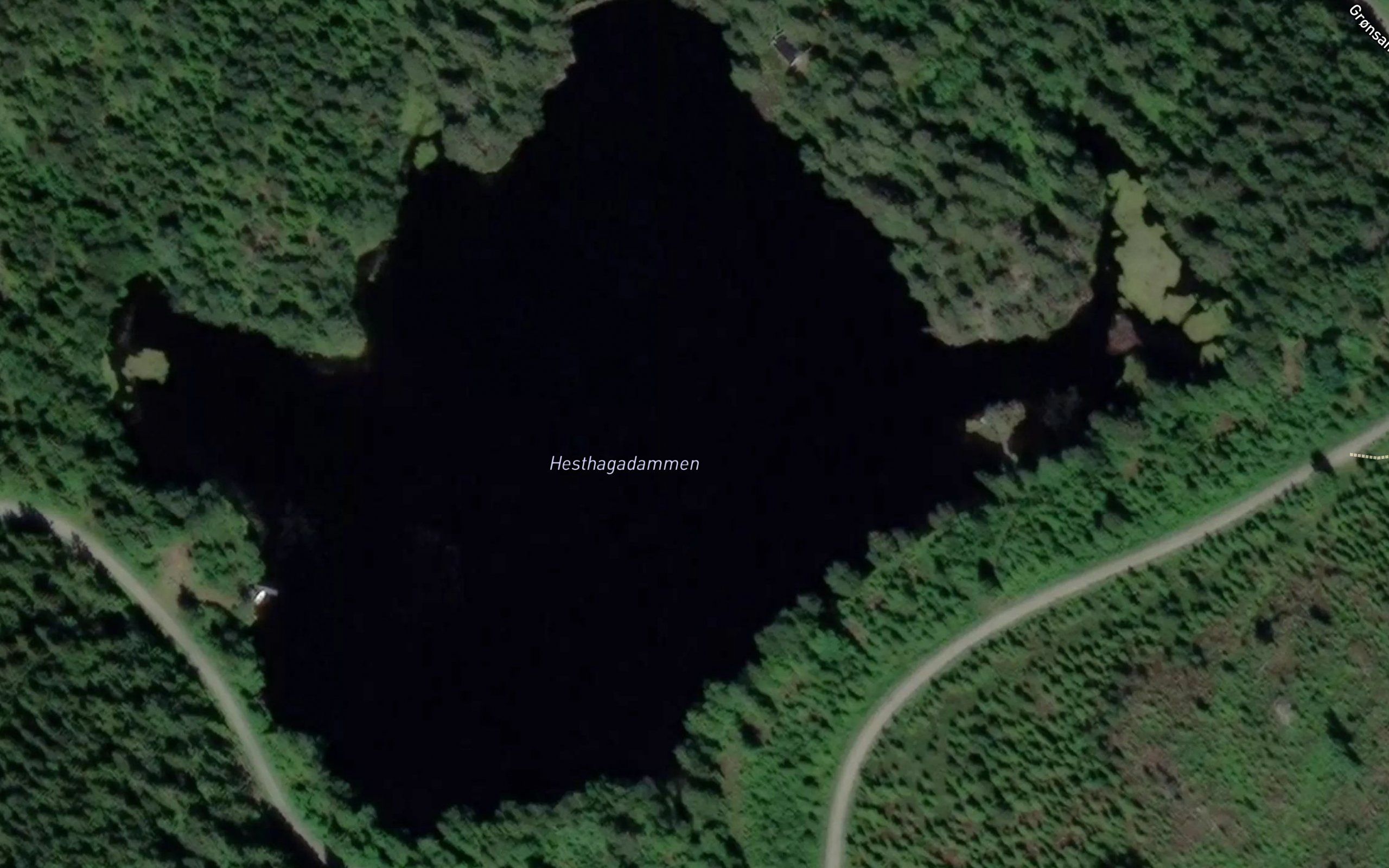 Hesthagadammen