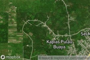 Sungai Kapiasbatu Delapan