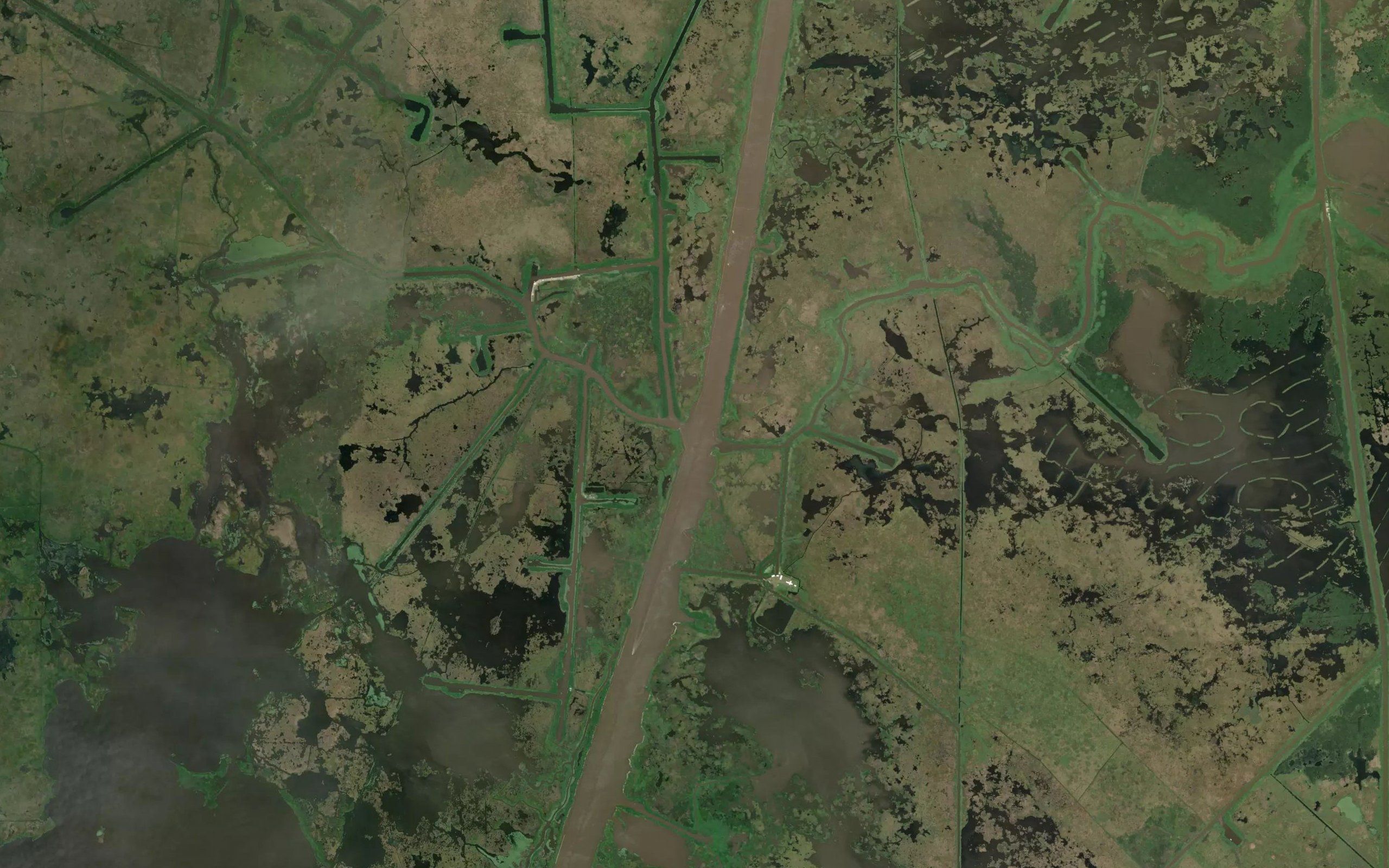 North Prong of Belle Isle Bayou