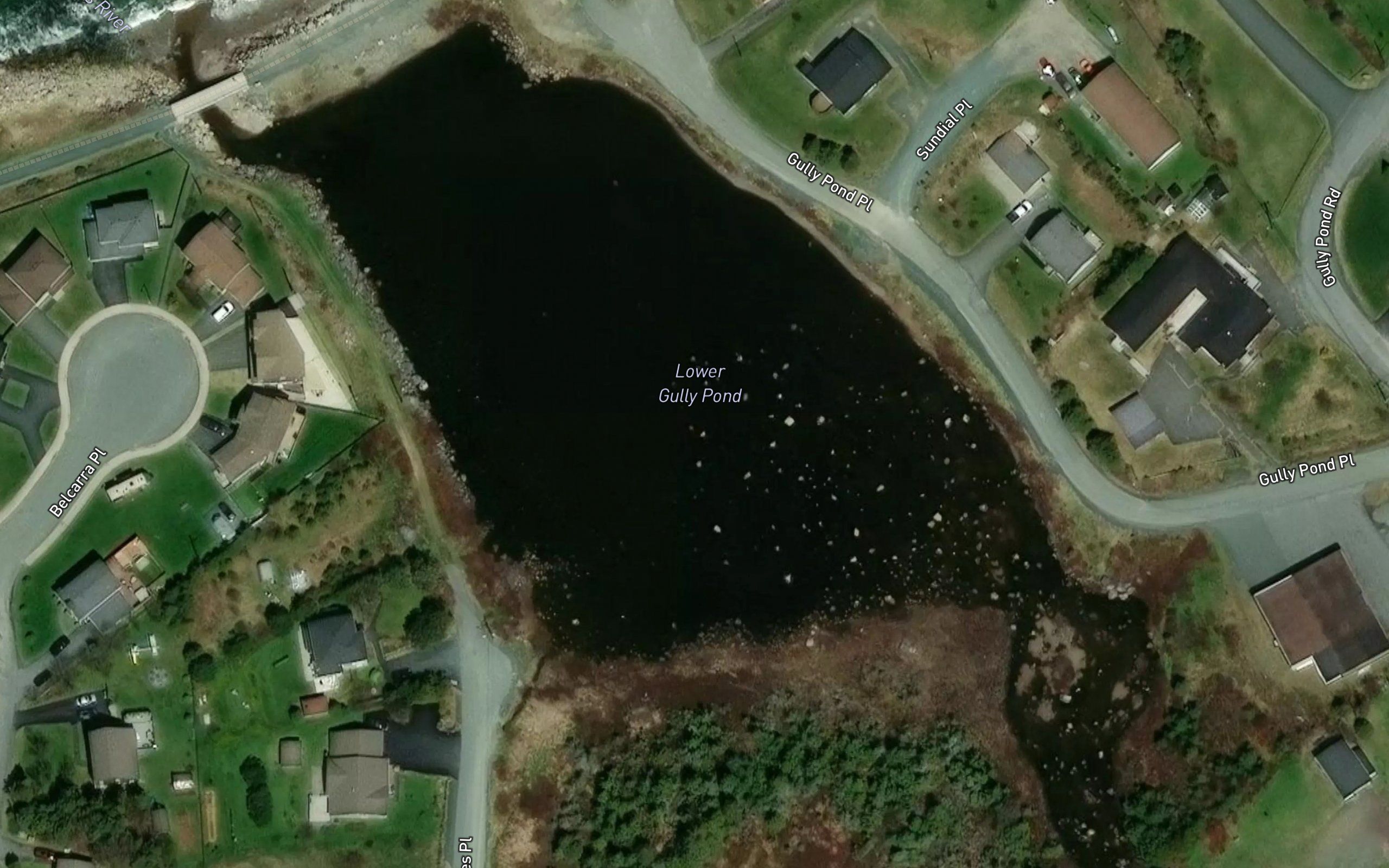 Lower Gully Pond