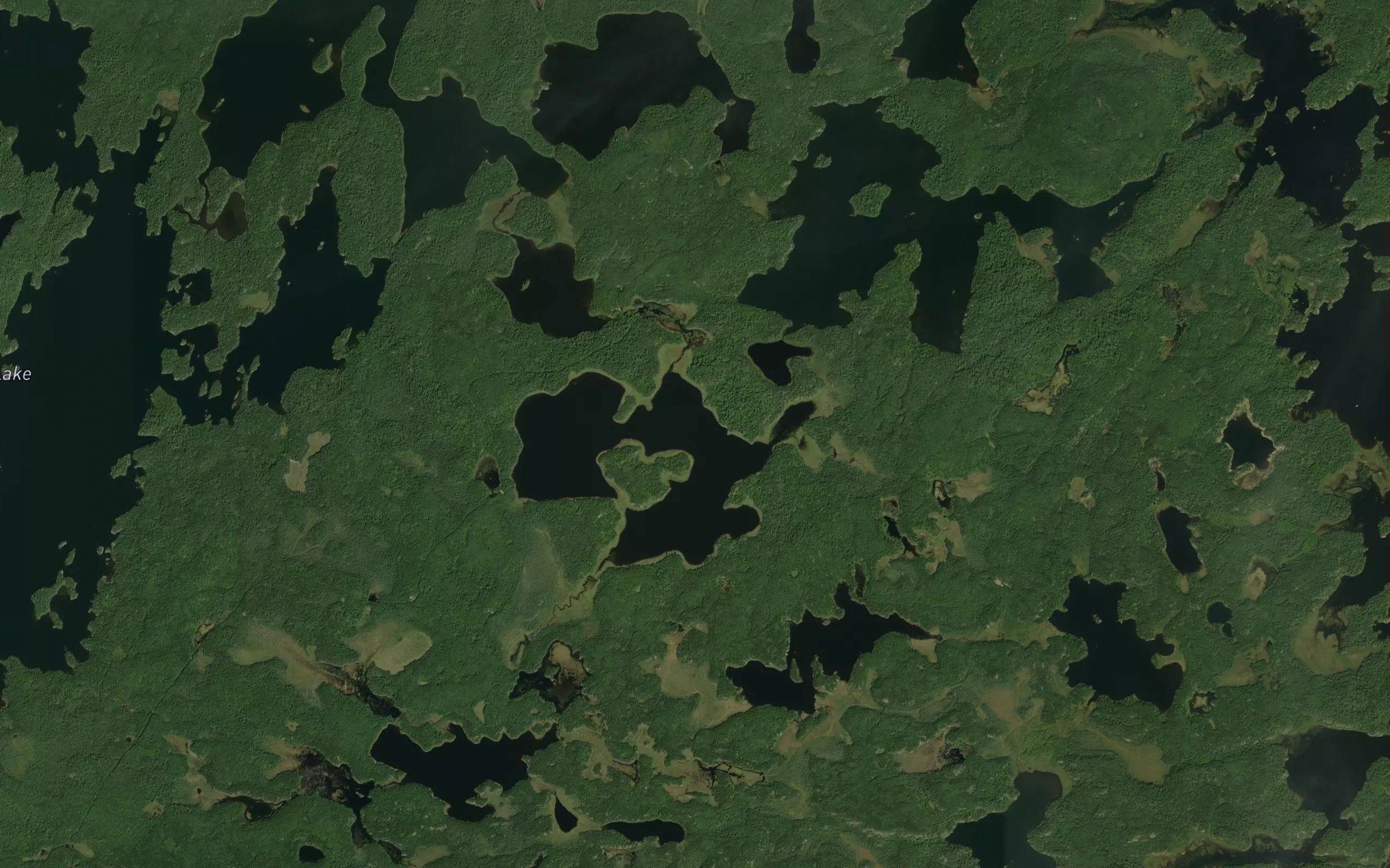 Tyrell Lake
