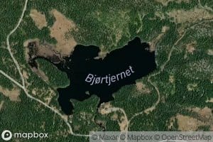 Bjortjernet