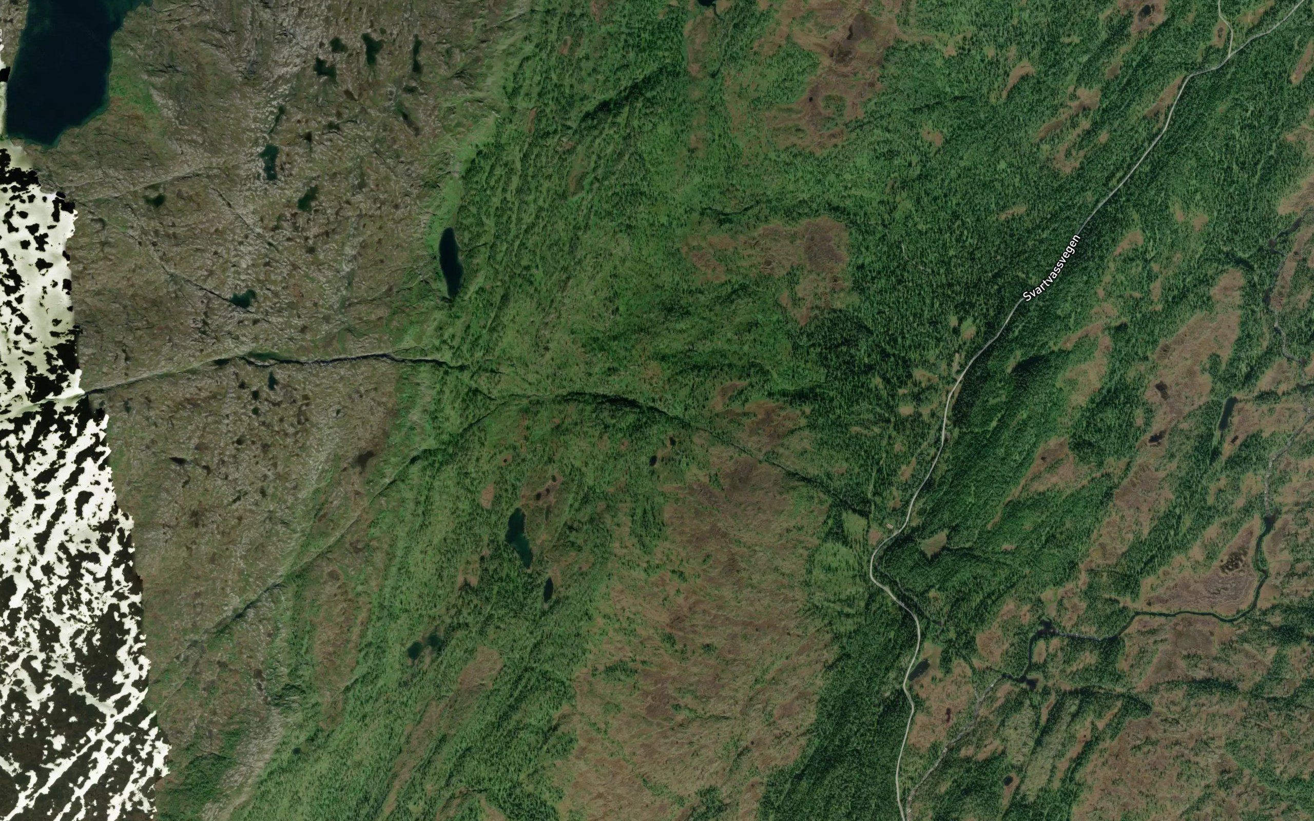 Tuvtjornbekken