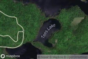 Tees Lake