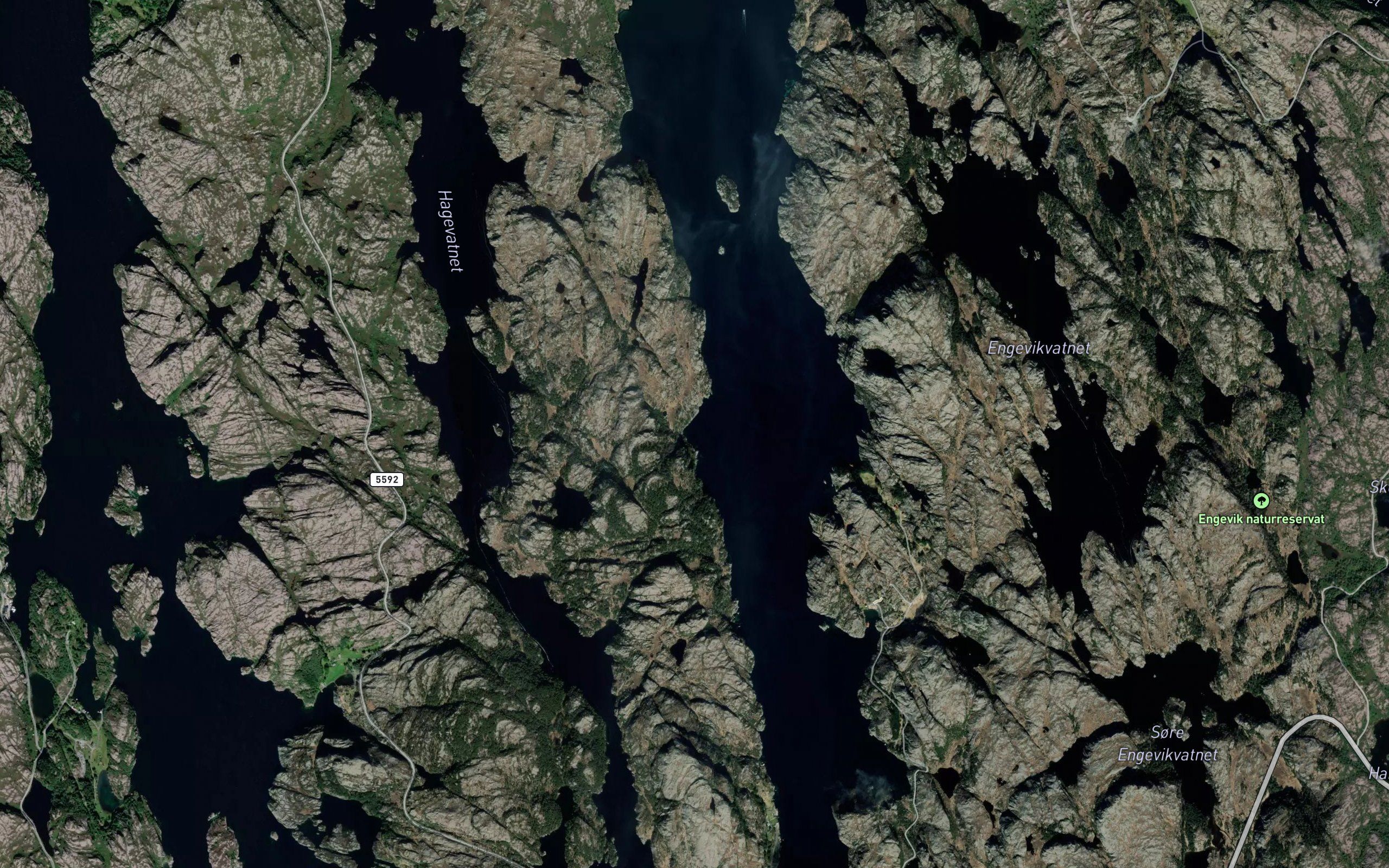 Geitevika