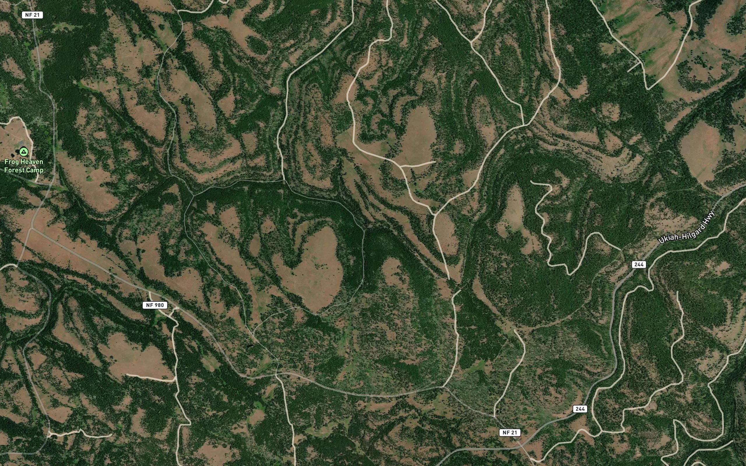 Lower Bluff Springs