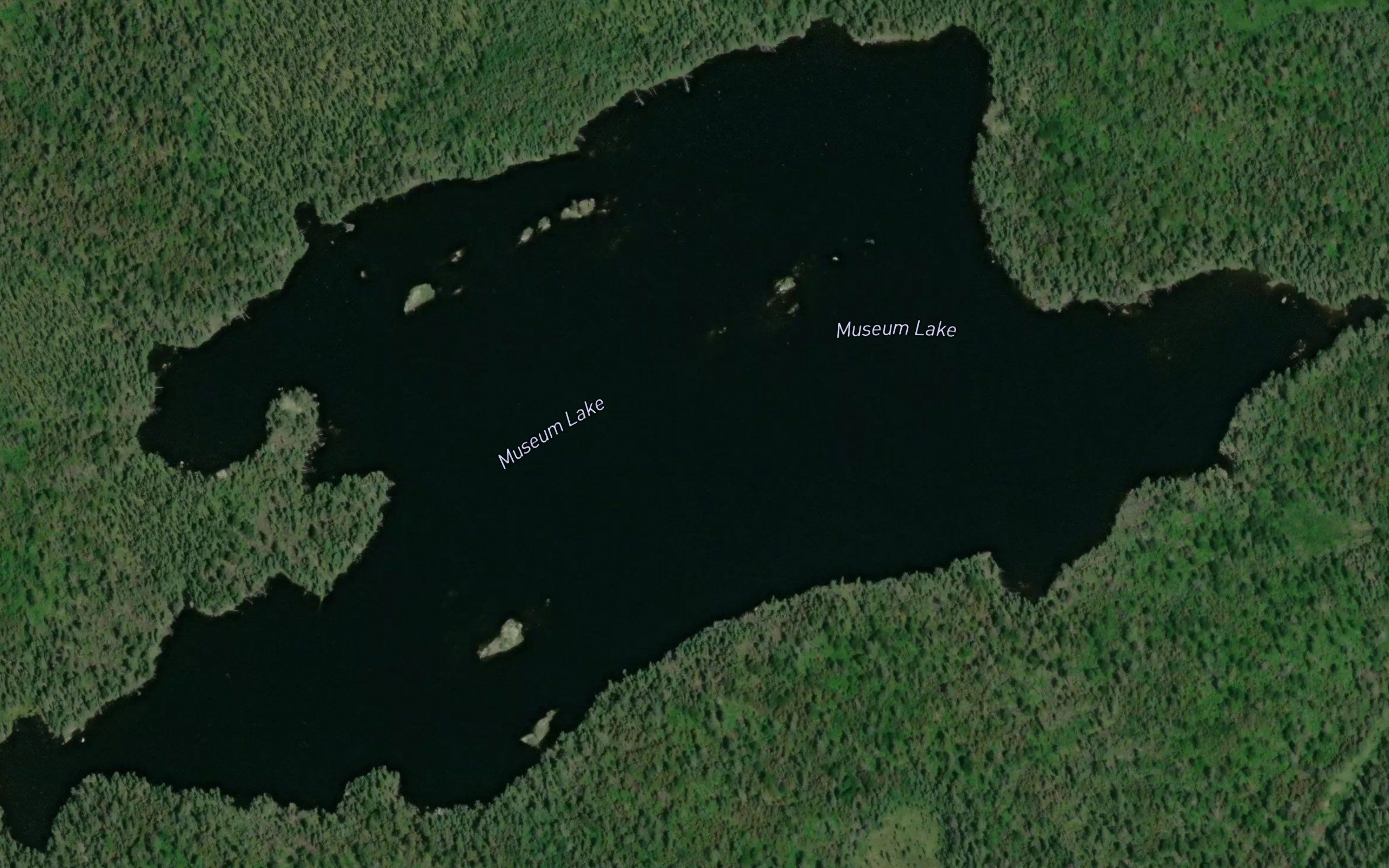 Museum Lake