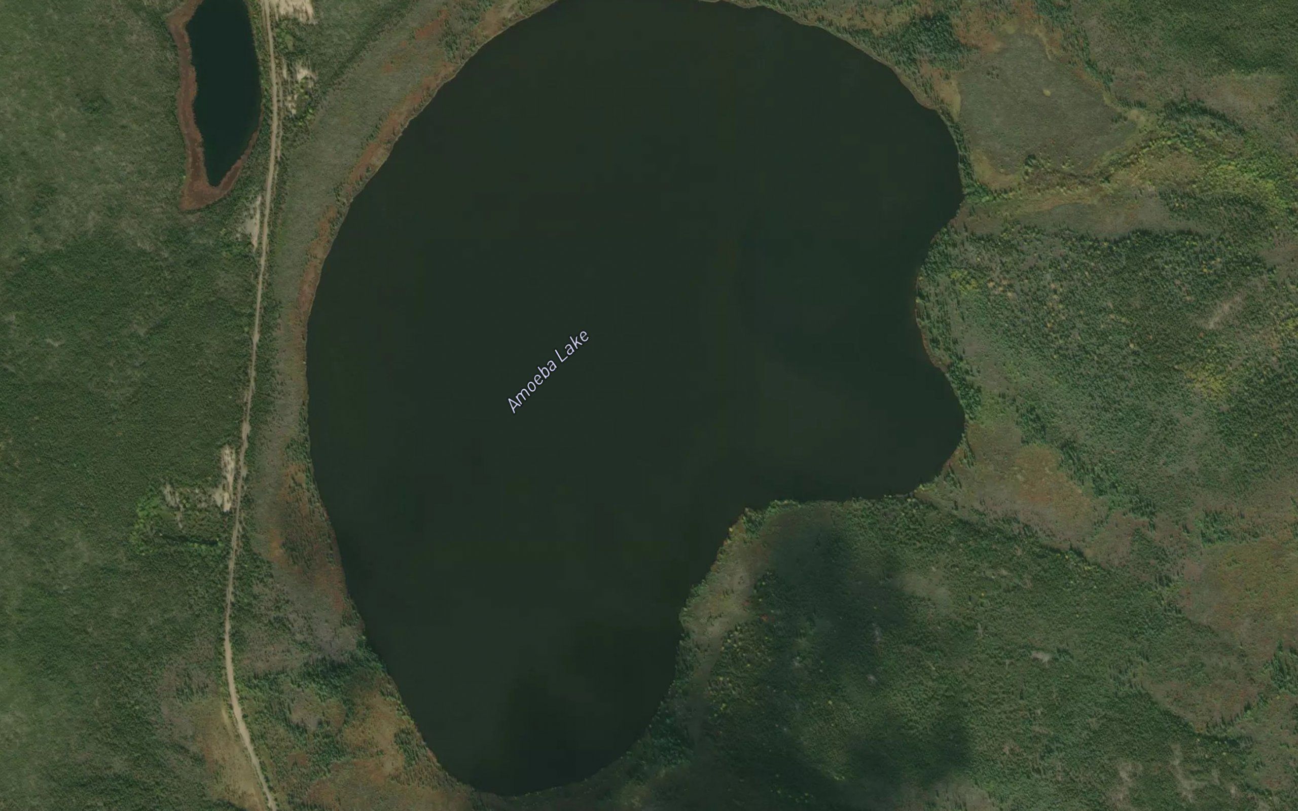 Amoeba Lake