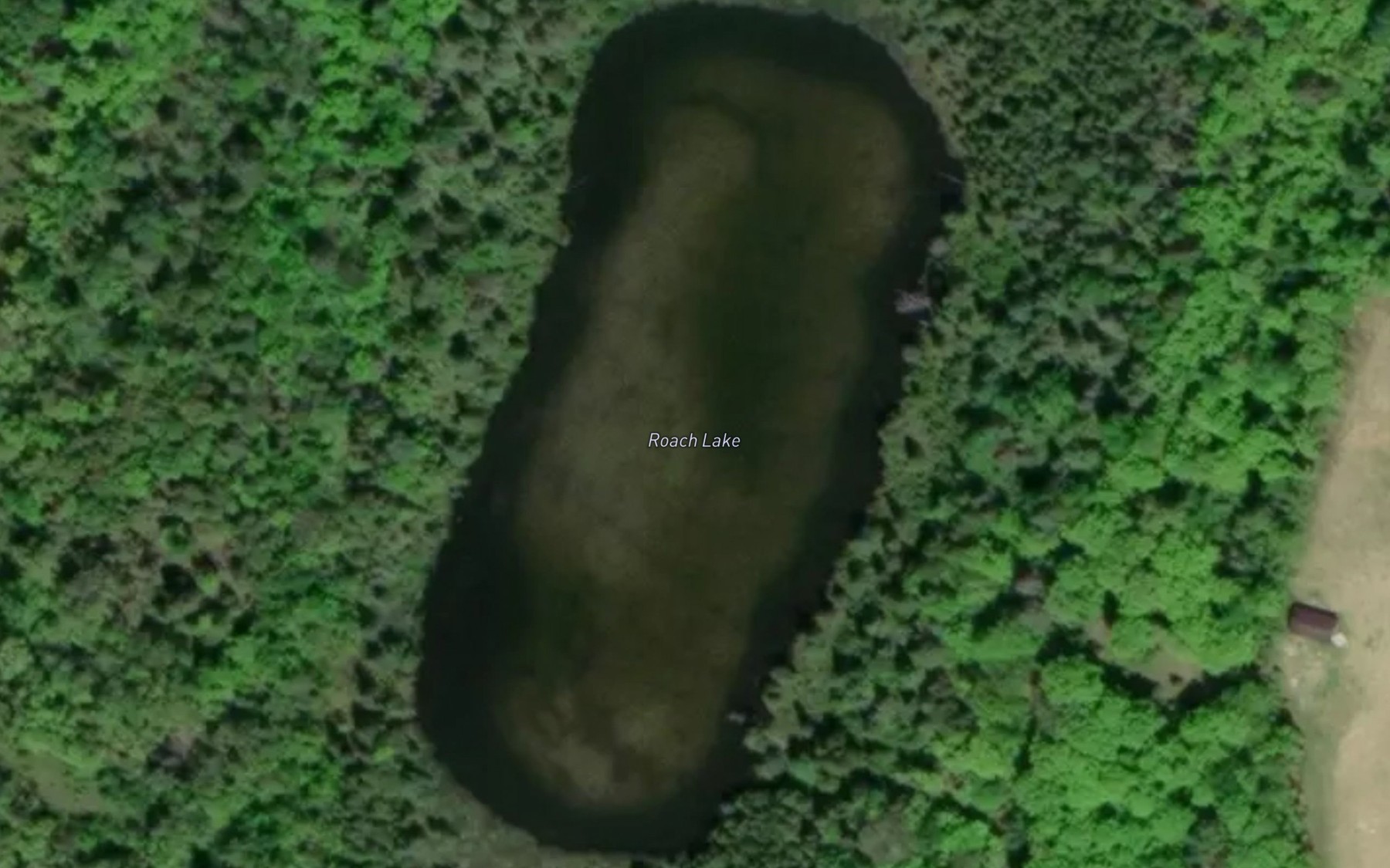 Satellite map of the Roach Lake