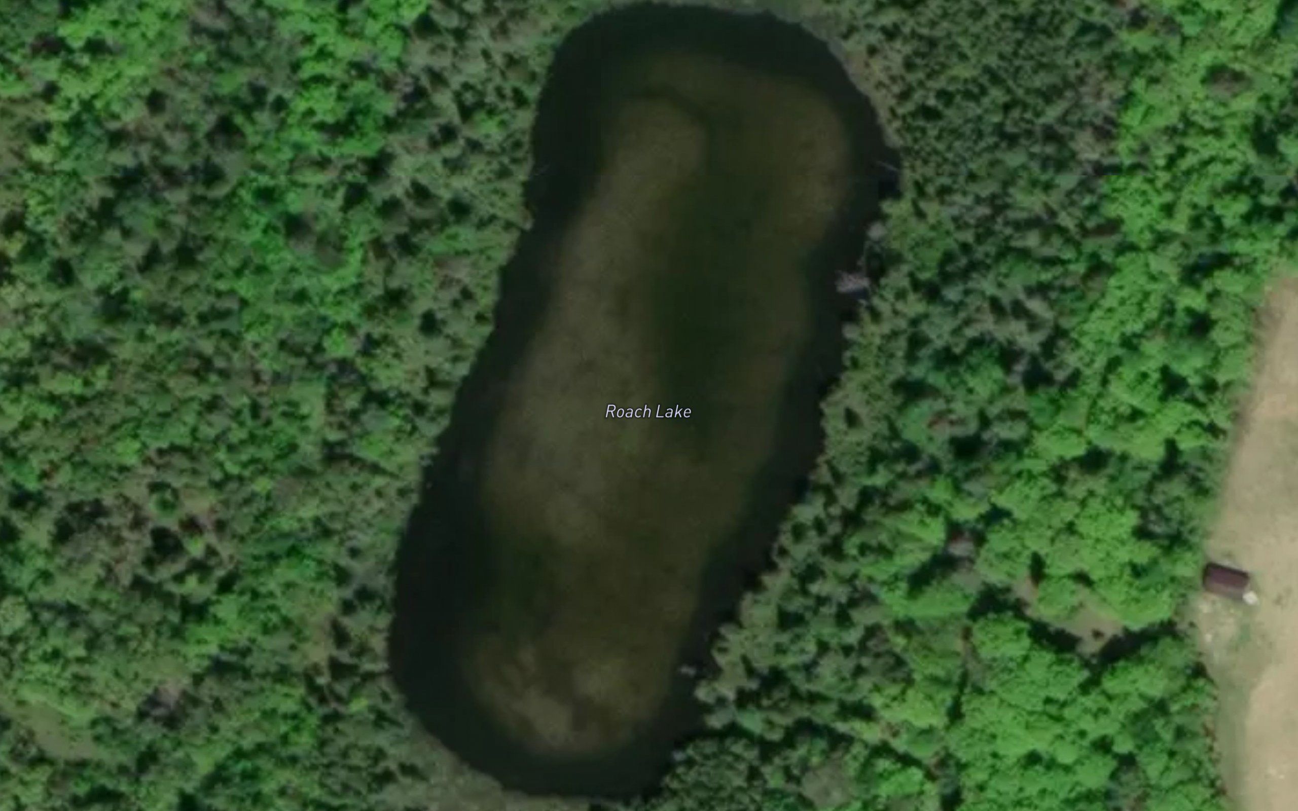 Roach Lake