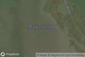 Bay Junop