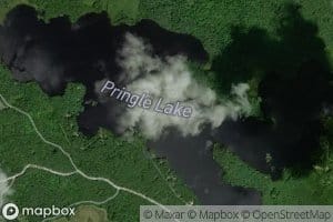 Pringle Lake
