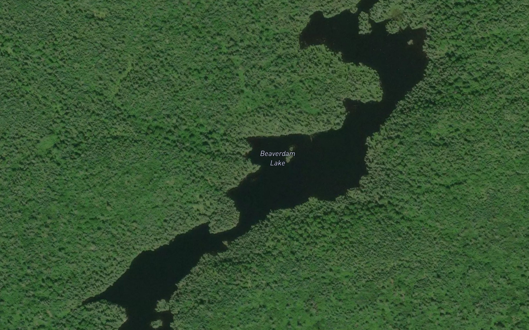 Satellite map of the Beaverdam Lake