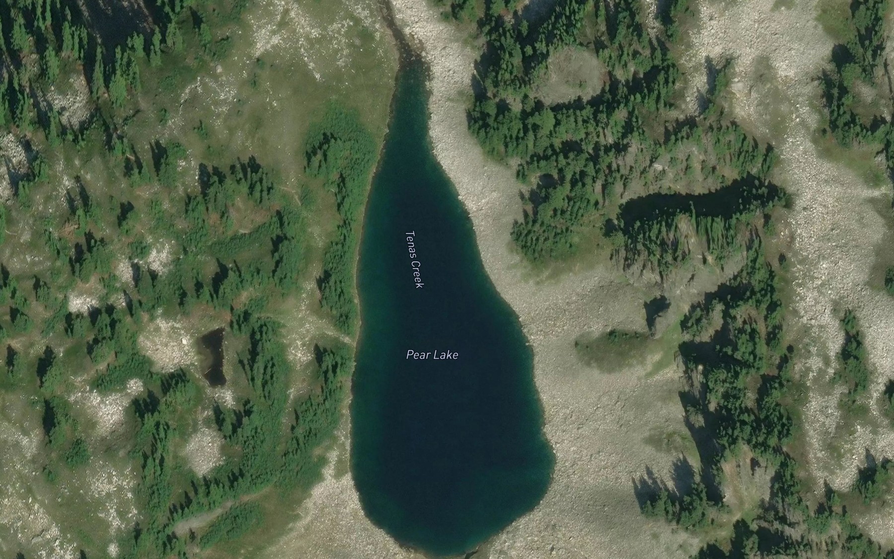 Satellite map of the Pear Lake
