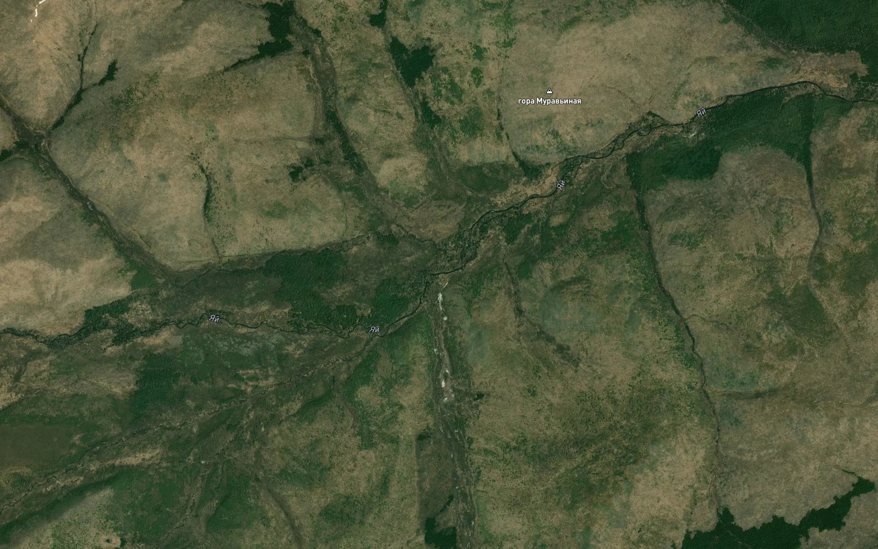 Satellite map of the Vstrechnyy