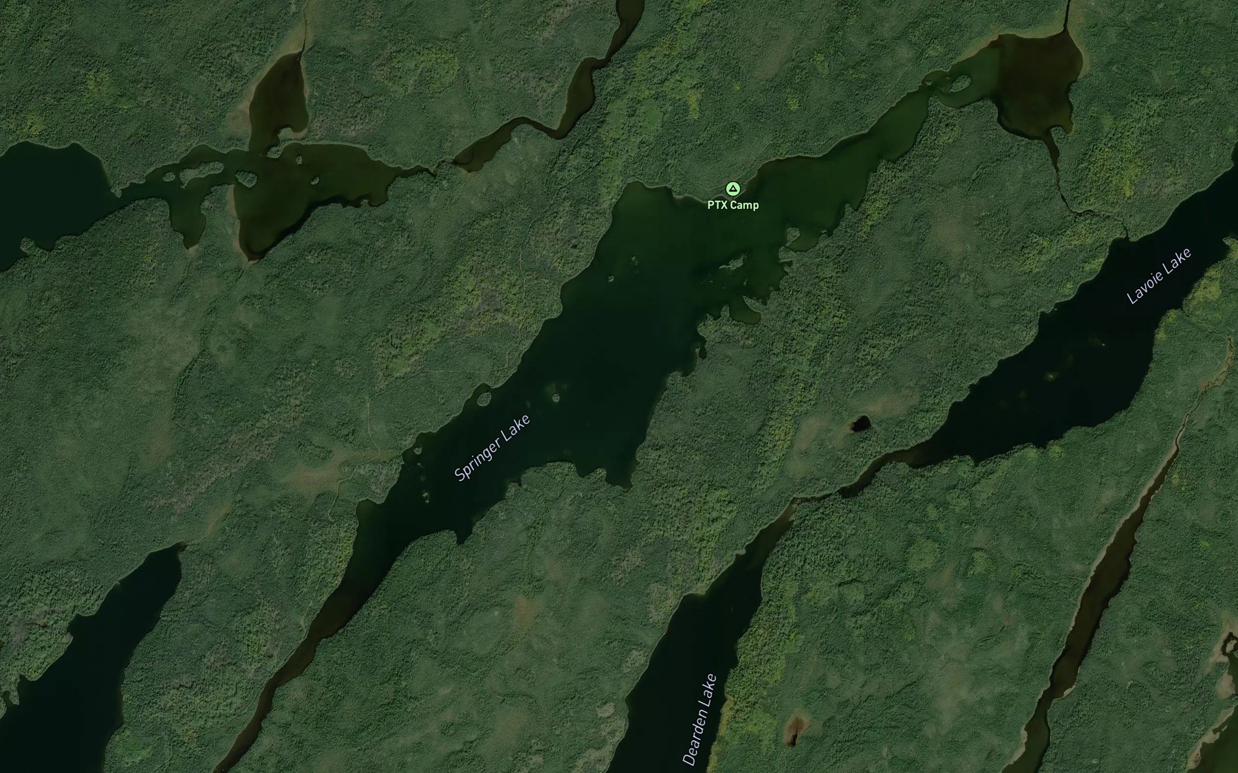 Satellite map of the Springer Lake
