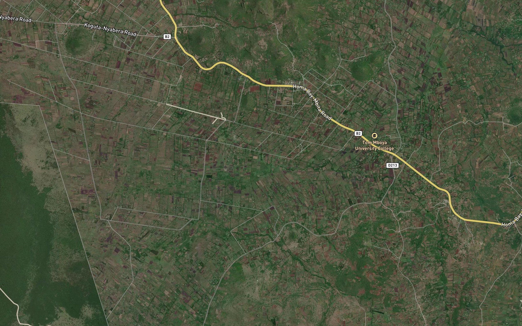 Satellite map of the Ogongo