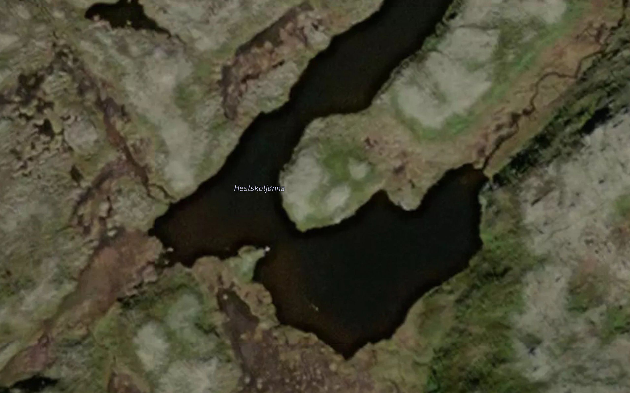 Hestskotjorna