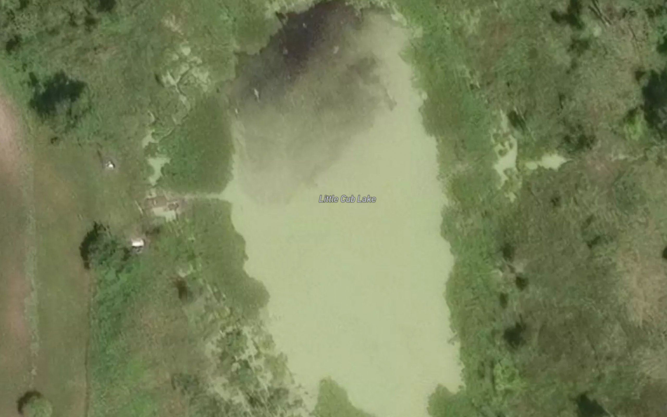 Little Cub Lake