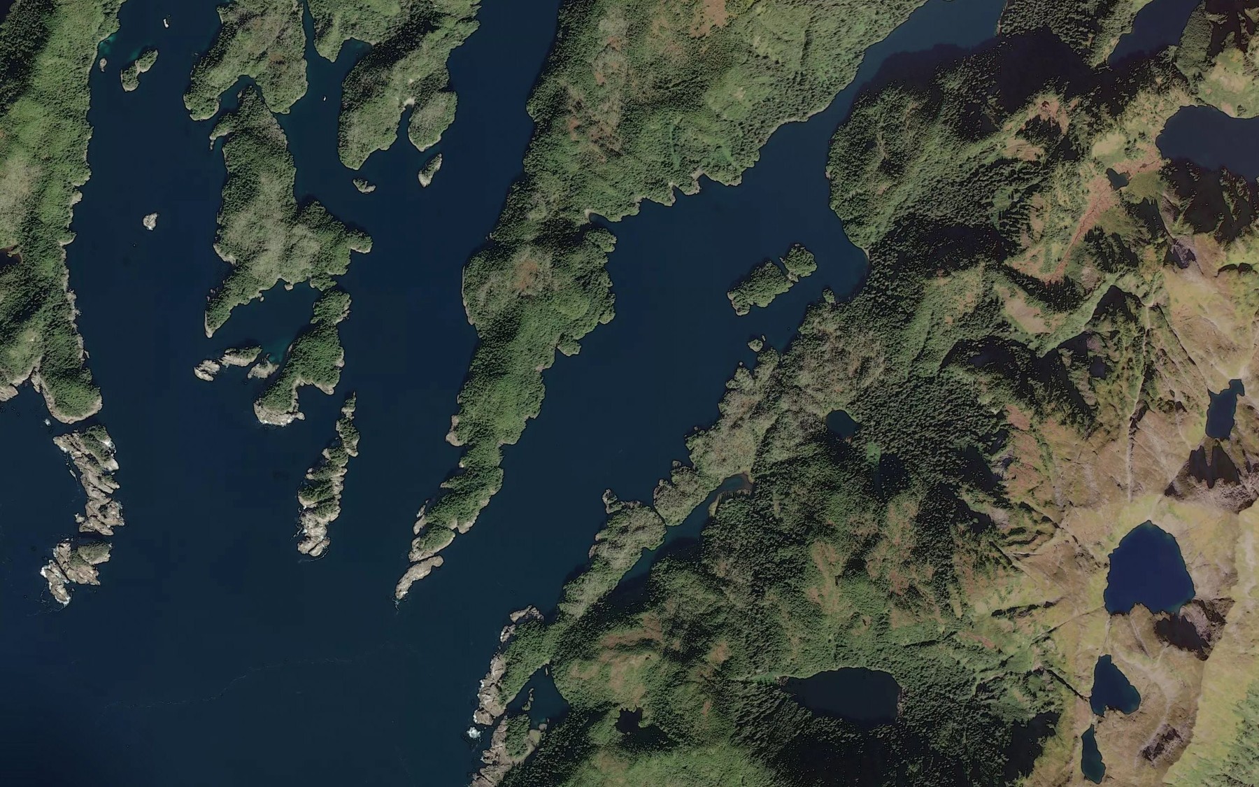 Satellite map of the Little Branch Bay