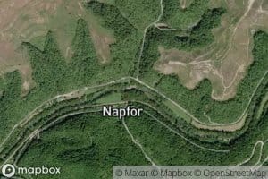 Napier Branch