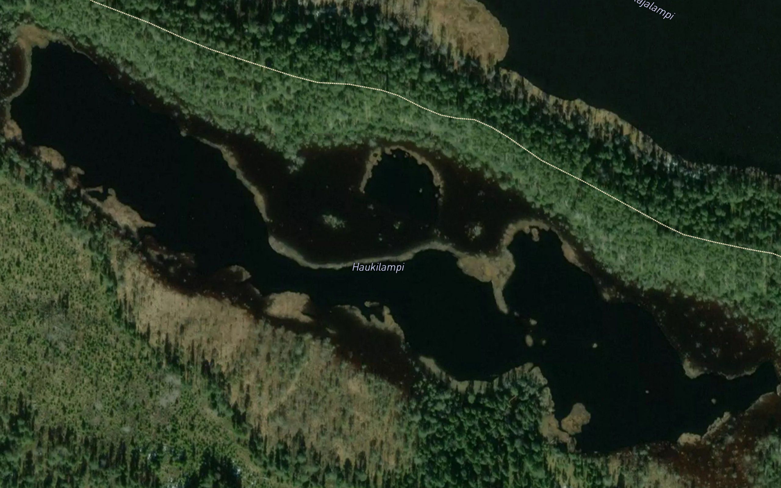 Haukilampi