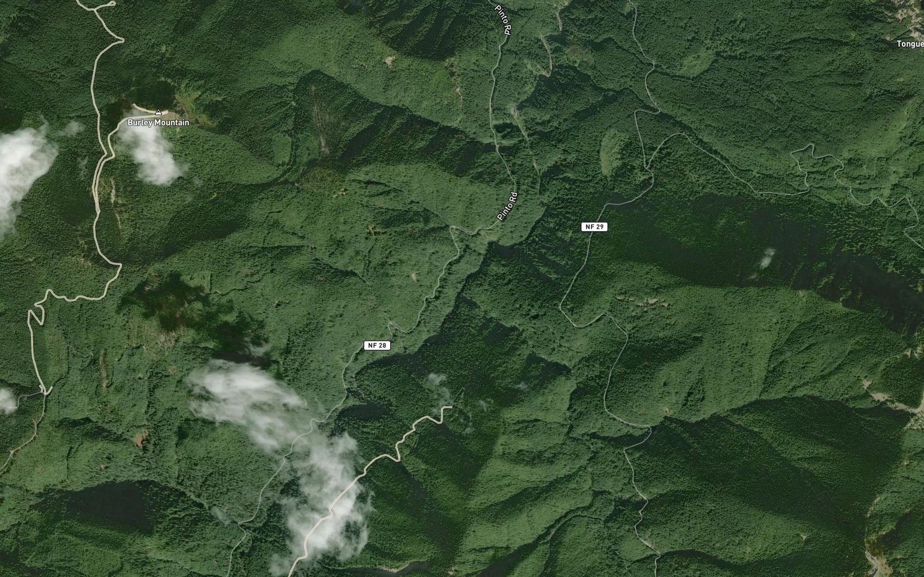 Satellite map of the McCoy Creek