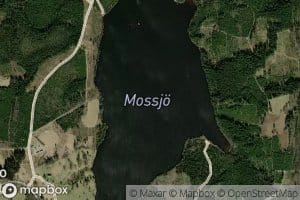 Mossjoe