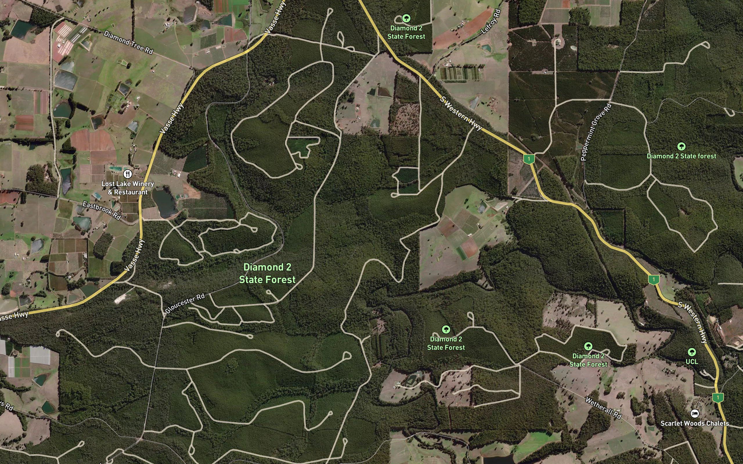 Diamond Tree Gully