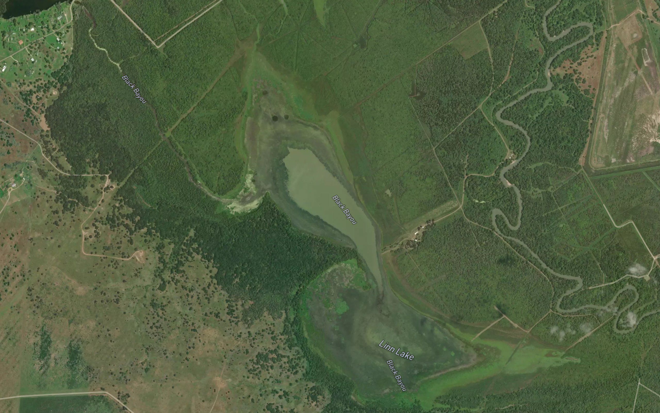 Linn Lake