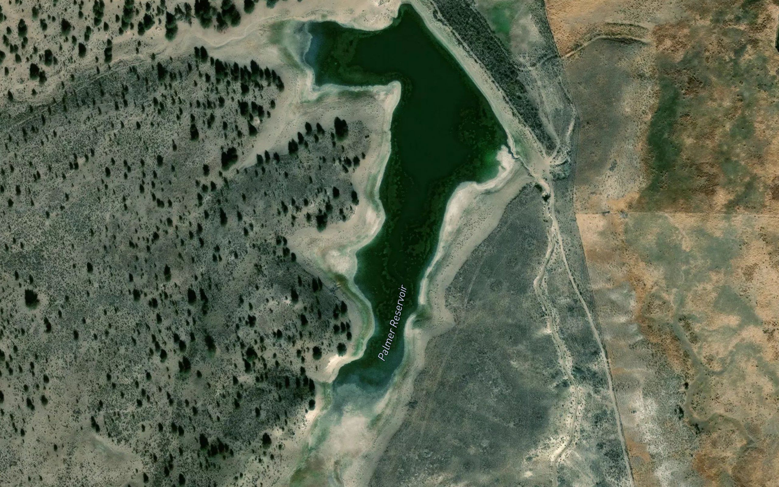 Palmer Reservoir