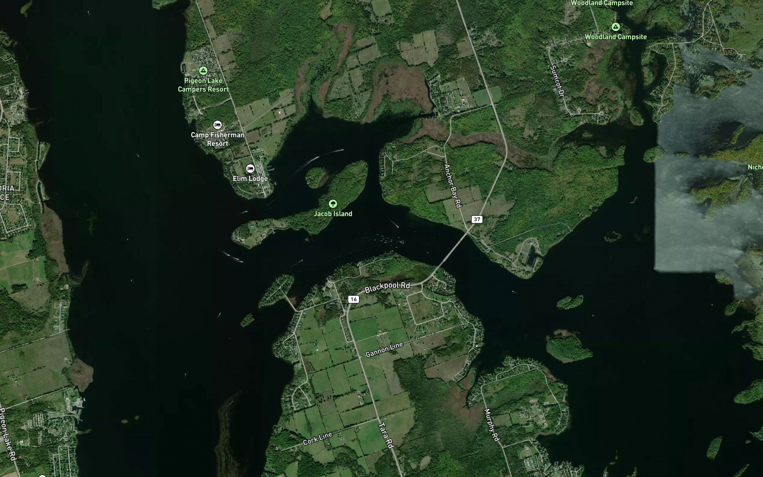 Kawartha Lakes