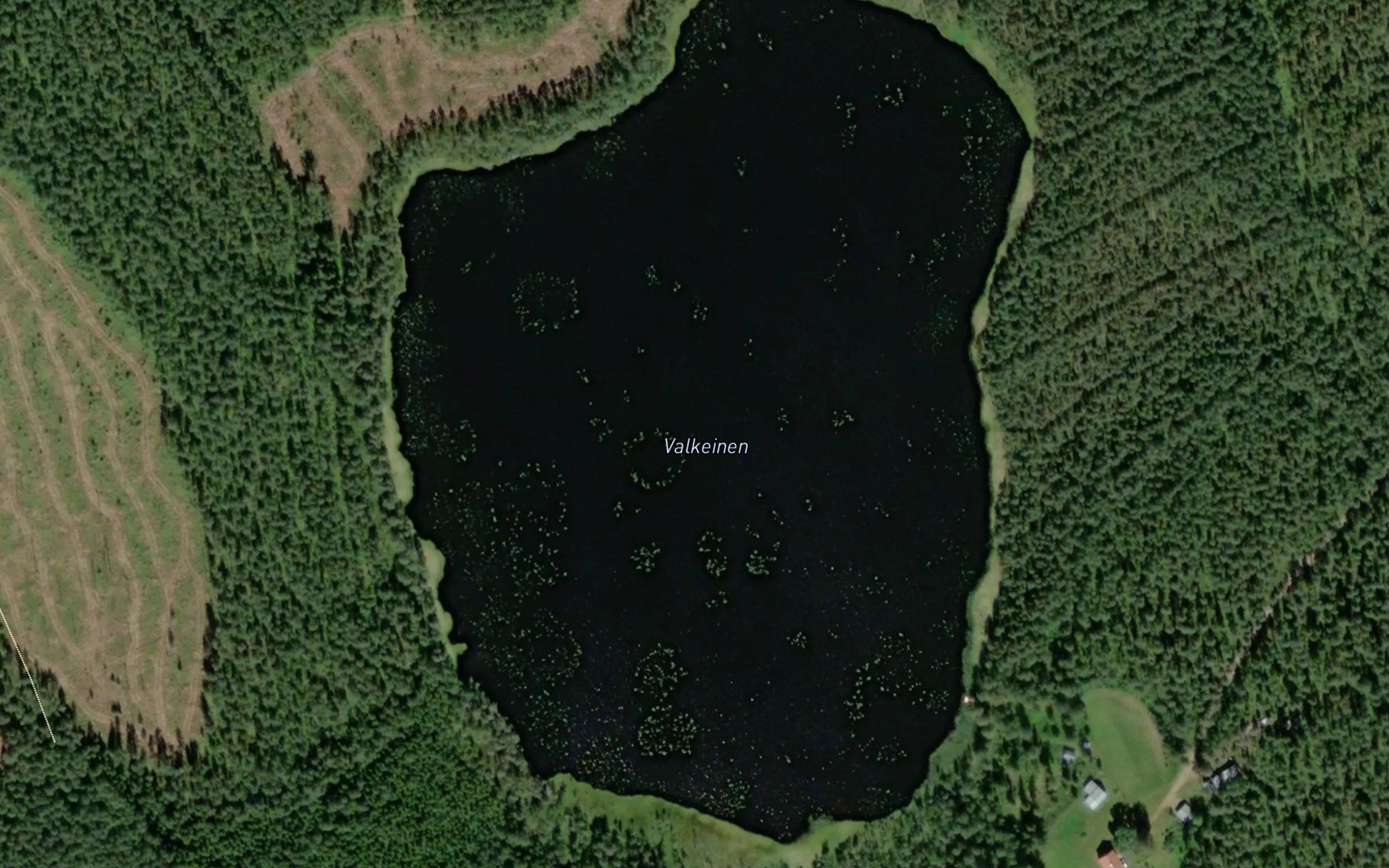 Valkeinen