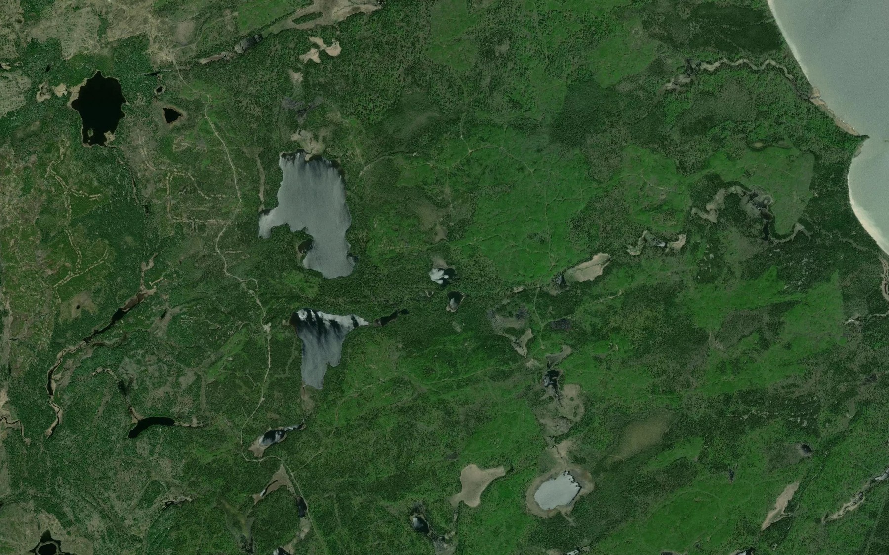 Satellite map of the Cedric Lake