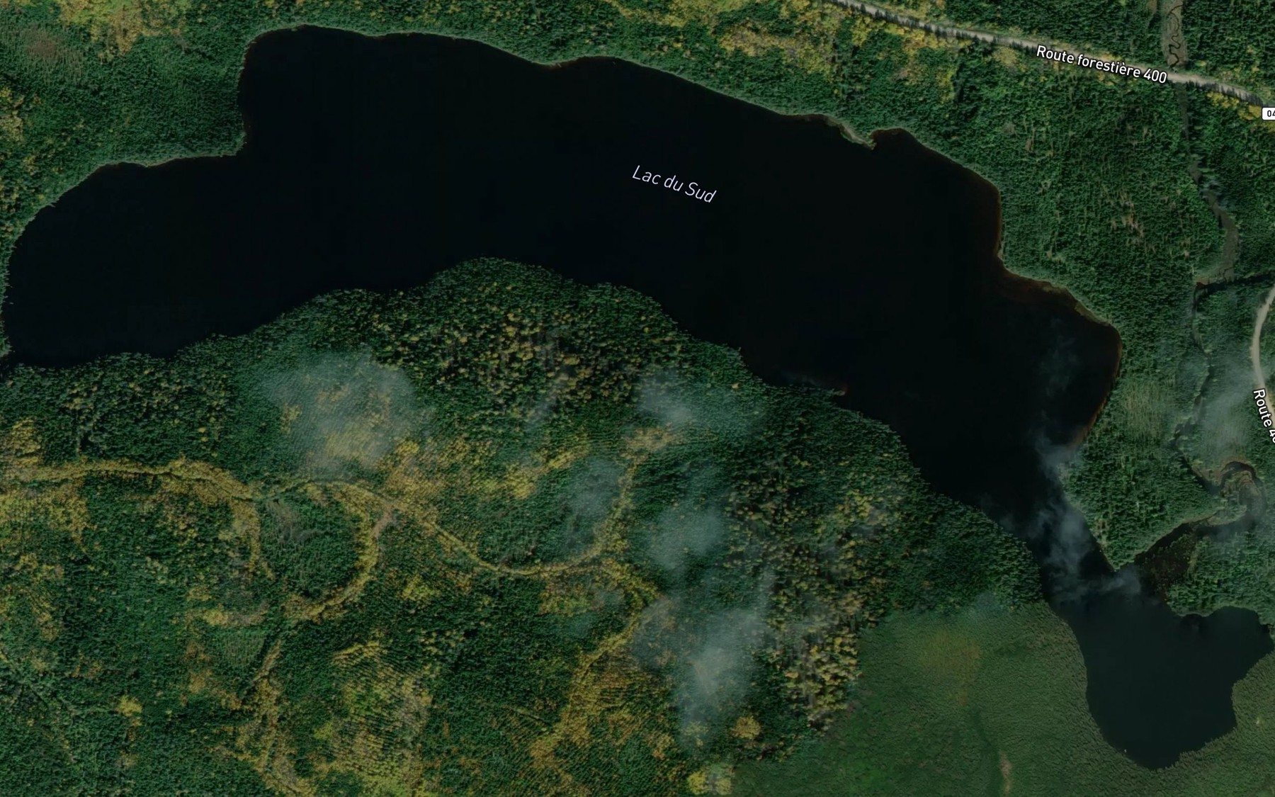 Satellite map of the Lac du Sud
