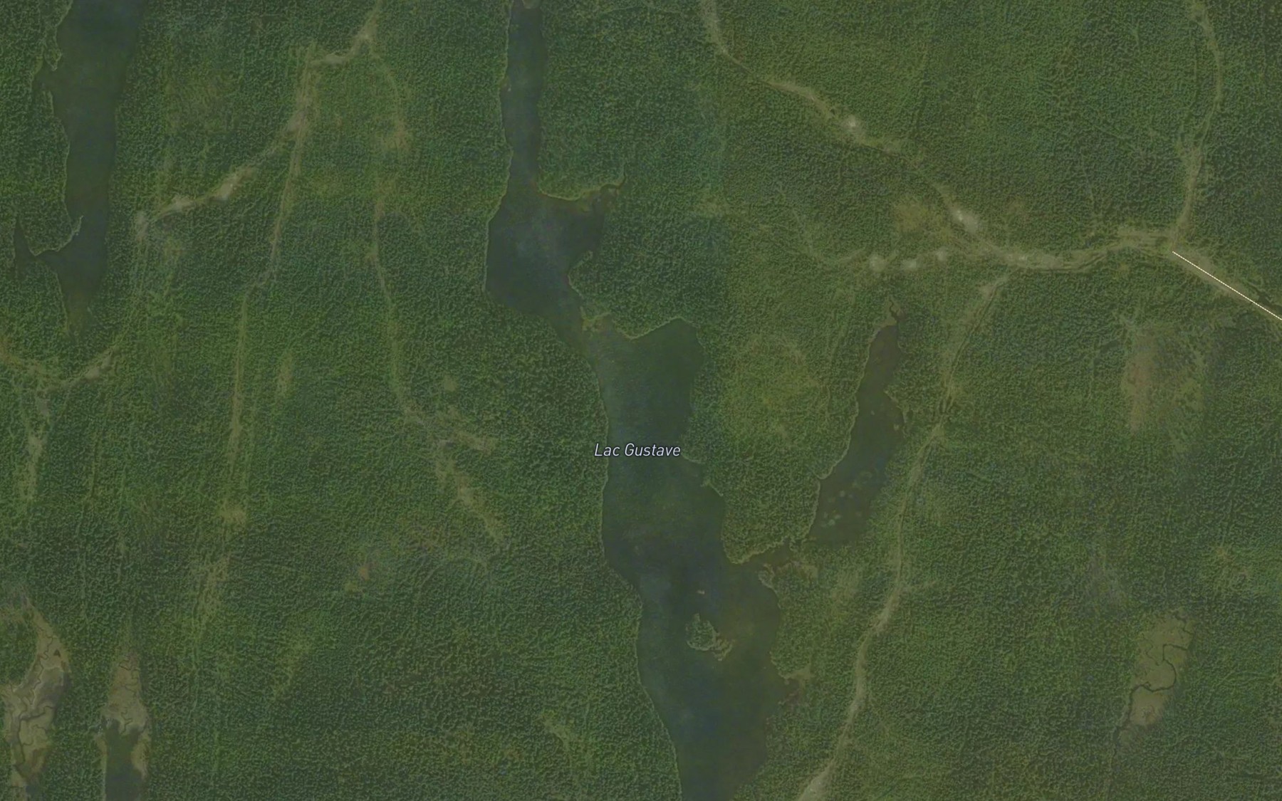 Satellite map of the Lac Gustave